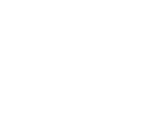 Deloitte Fast 500